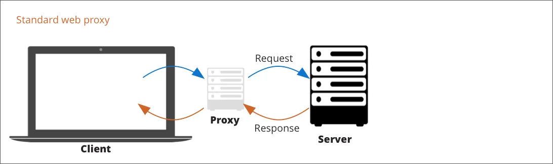 Standard web proxy