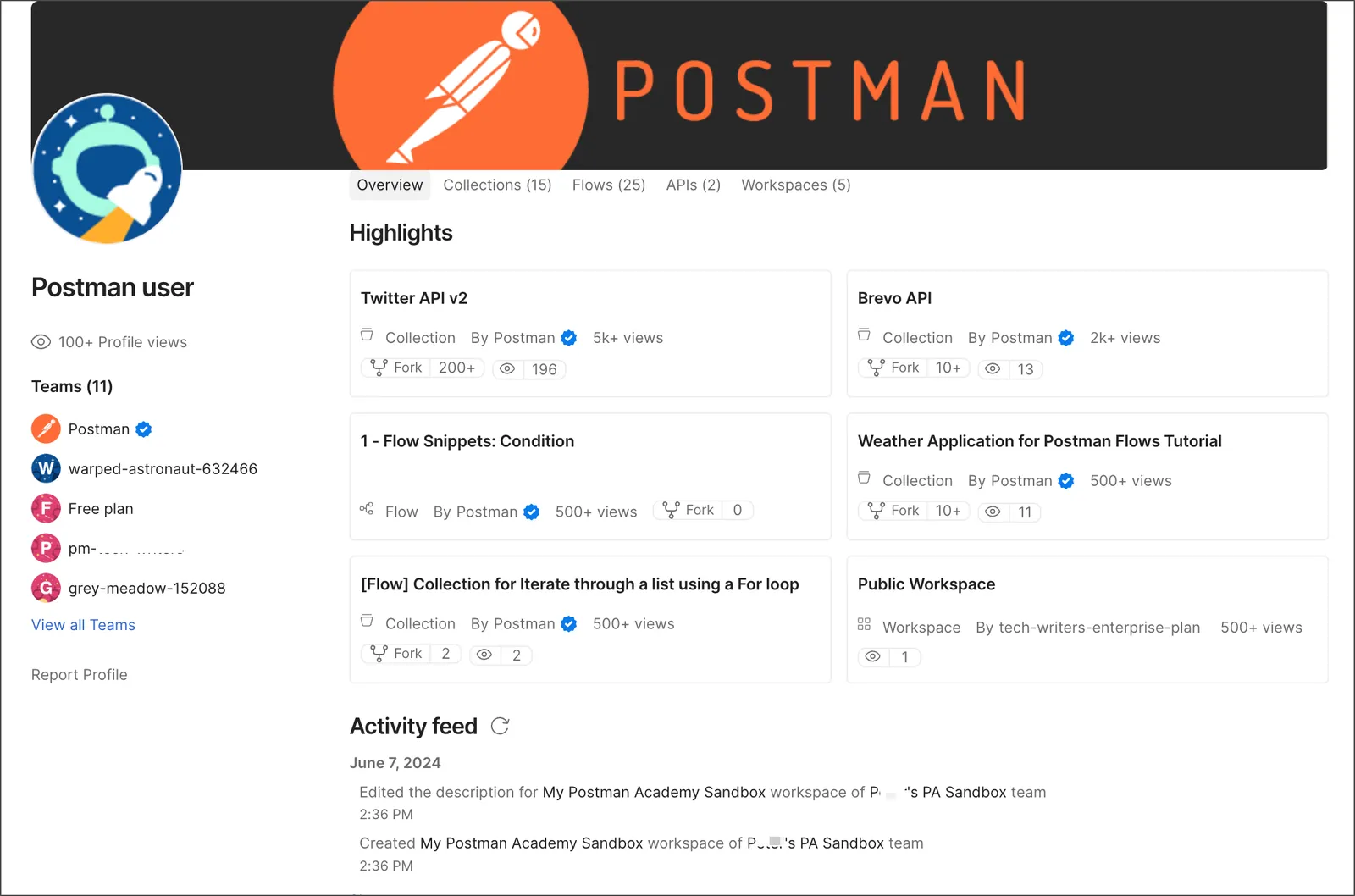 A Postman user's public profile