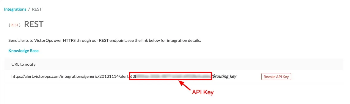 View API key