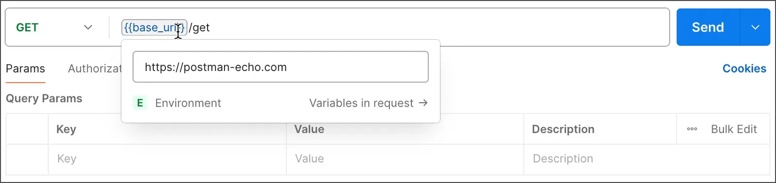 Reference variable